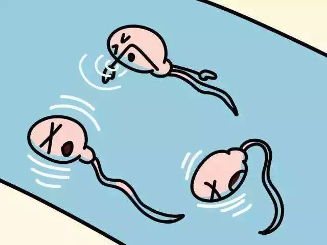 y游到需要多久：游向多長時間