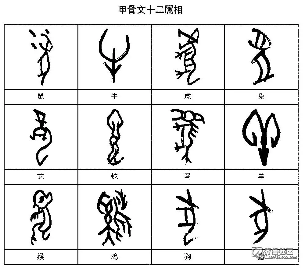甲骨文中的12生肖屬相：甲骨文的十二生肖怎麼寫？