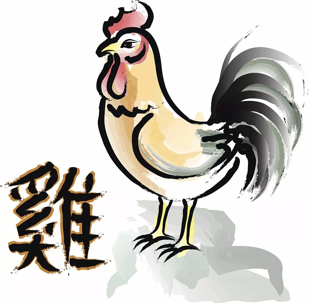 2、屬相兩個雞婚配嗎:屬相婚配雞和羊