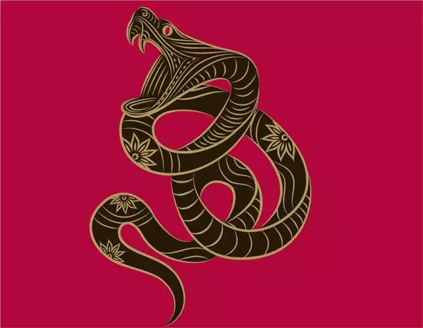 2、生肖屬蛇的婚配什麼樣的屬相:生肖蛇跟什麼最配，屬蛇的屬相婚配表
