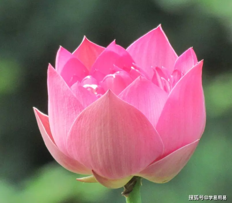 1、今年的運氣好不好:今年運氣好不好