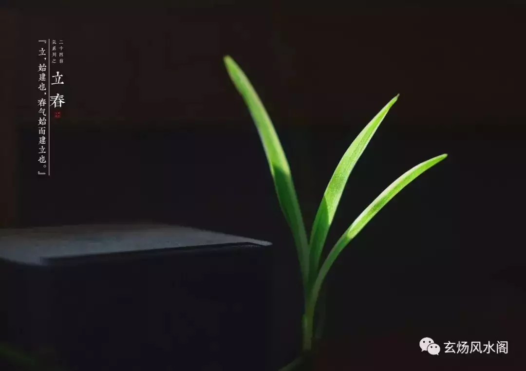 我兒子年2月4日出生，到底是屬龍照樣屬蛇啊？有的說以年為分界屬龍；有的說以立春分界屬蛇。