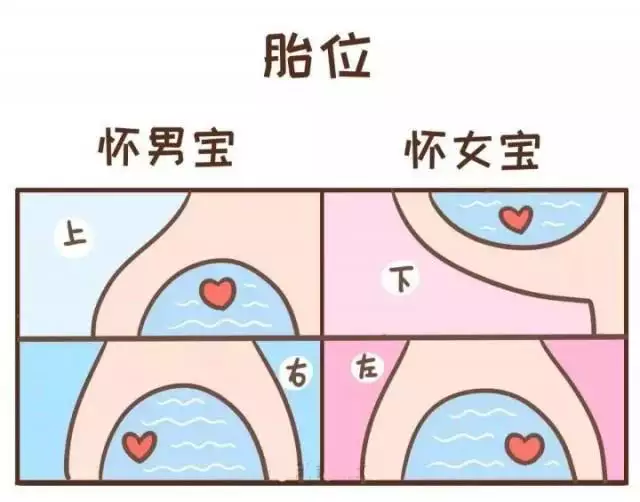 2、有什麼妙招懷上男孩:懷男孩的方法有什麼呢？