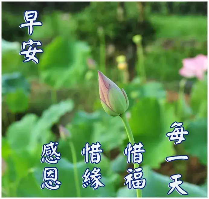 1、中老年朋友早安問候語:給退休后老朋友早上的祝福語？