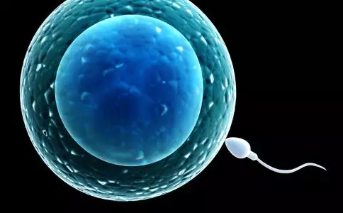 1、男性備孕吃什麼提高質量？因為想生男孩有沒有保險一點的法子？大家給個方法吧