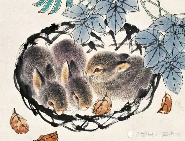 如龍一朝鳳是什麼屬相：一句，一朝如龍一朝鳳。猜一生肖。
