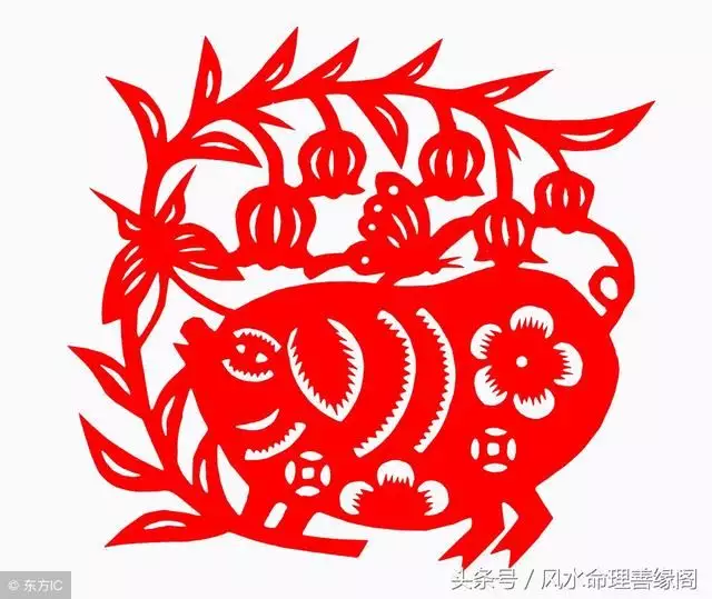 5、屬相婚配有你有我是什麼意思:屬相婚配有科學依據嗎？