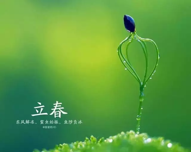 屬虎立春不能見什麼屬相的人：立春禁忌什麼屬相