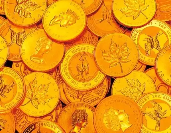 雙手捧金腰纏萬貫的屬相：腰纏萬貫猜一動物