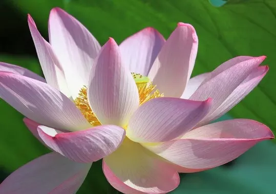 月9日屬相：陰曆月初三是什麼星座