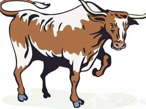 屬豬和屬牛生子什麼屬相：屬牛和屬兔的人在一起生什麼屬相的孩子好