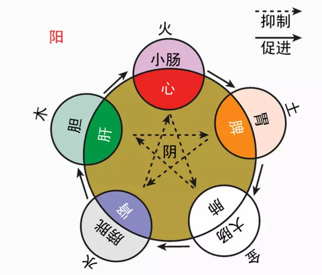 年金木水火土屬什麼：年金木水火土什麼命