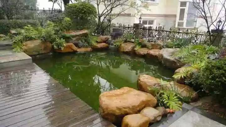 1、別墅花園 想做個魚池 有什麼好的建議 怎樣處理 比如循環水怎樣做 電怎樣預留 魚池內側怎樣處理好