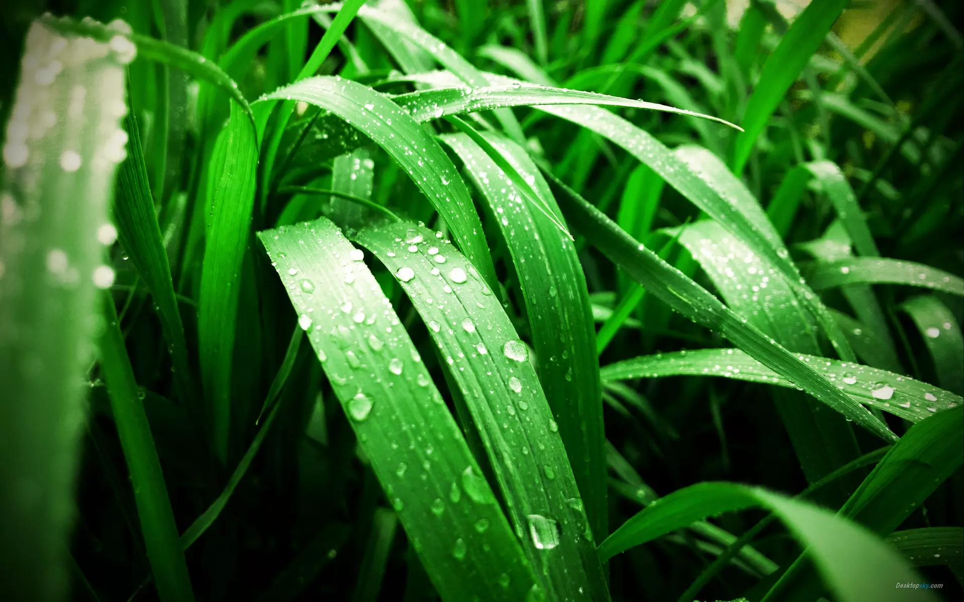 1、最靈的方法天涯:怎樣才能，，避禍