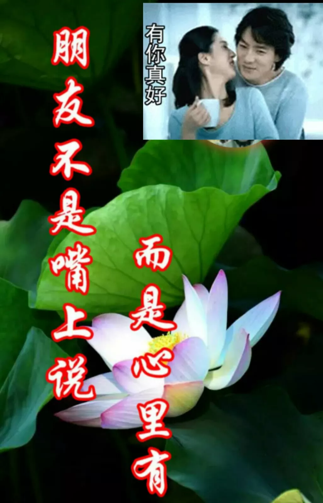 1、珍惜相遇珍惜緣分的句子:珍惜緣分的句子