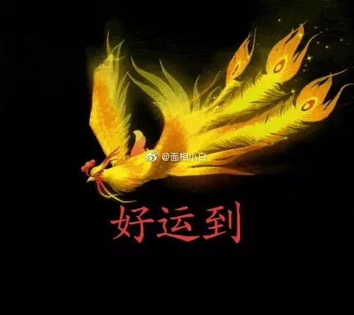 2、年註定和舊愛複合的生肖:年後悔放棄前任的生肖