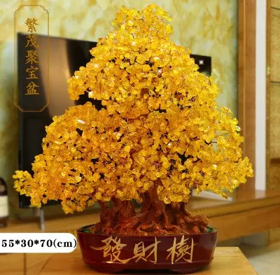 4、發財樹的唯美圖片大全大圖:發財樹新生恭弘=叶 恭弘子有透明小孔 有圖