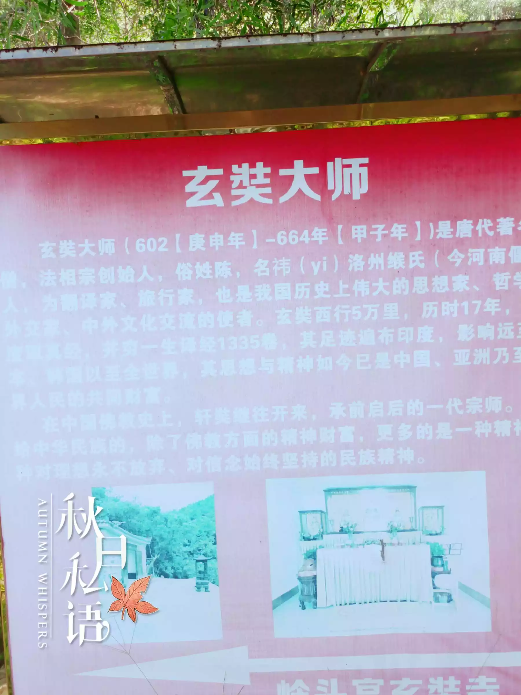 六八年八月十六屬相好欠好：年是屬什麼命