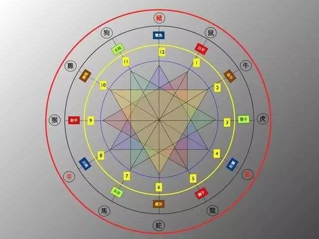 婚配屬相重要還是日支重要：屬相婚配和五行婚配那個更准一點？請懂行的朋友賜教。