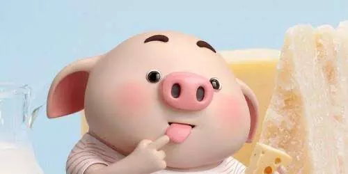 3、為什麼年屬豬的是一個坎:年屬豬的在年好不好