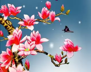 男生哪些屬相最有桃花運：十二生肖里，哪個生肖桃花運最好？