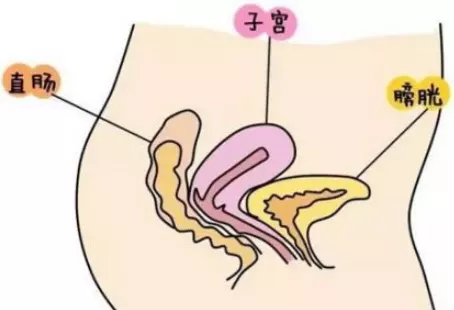 孕初期尿不盡怎麼辦初：孕婦憋尿后尿不出怎麼回事
