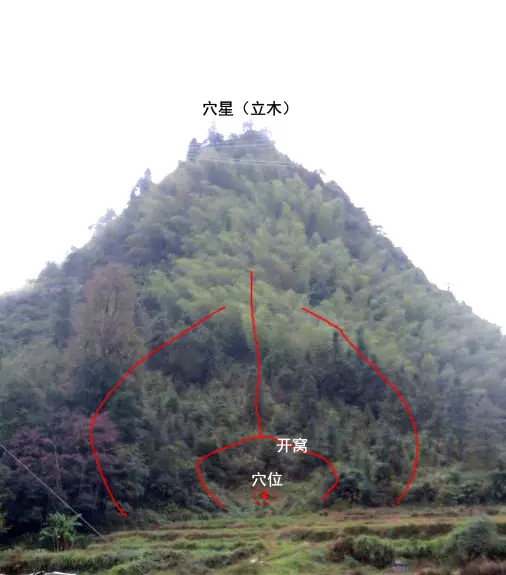 葬山日子與子孫屬相相衝怎麼辦：屬兔和哪種屬相相宜 相剋 要原因 謝!