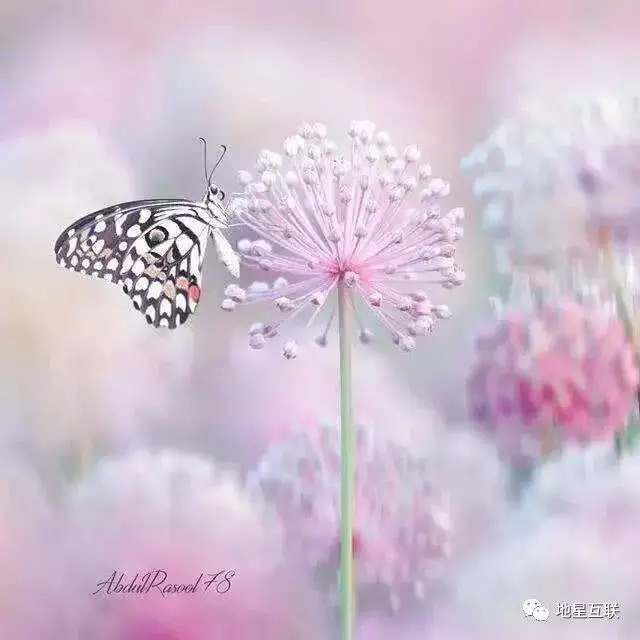 1、心理測試婚姻:夫妻各自八字所測的婚姻情況不同，該怎麼理解呢？
