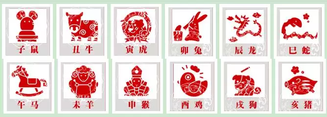 屬相狗與蛇合作有財氣：屬蛇和屬狗的合作適合嗎？