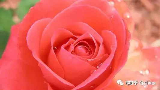 9、正緣何時出現:：正緣什麼時候會出現？