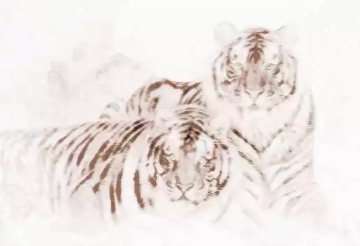 屬虎的佩戴什麼生肖最旺：屬虎佩戴什麼生肖