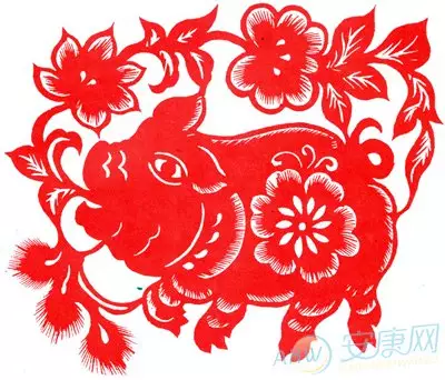 3、八三年生肖豬女人的婚配:八三年的豬女和七六年的龍婚配