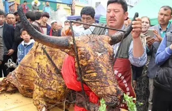 1、男馬女蛇婚配能發大財嗎:男屬馬女屬蛇婚配咋樣