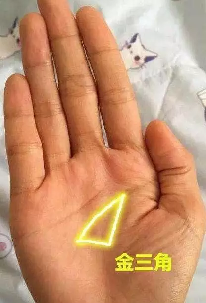 十大貴命命格真正的上等八字：斗數十大貴命命格