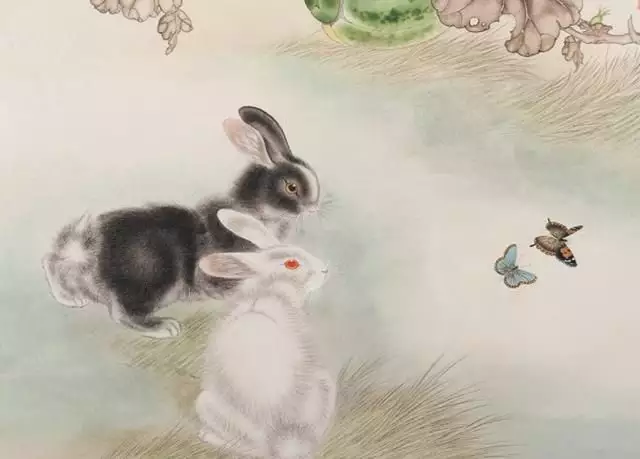 6、屬兔年份:年屬什麼生肖