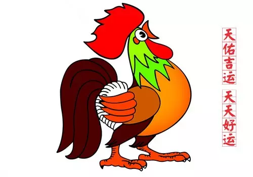 屬性與何屬相相配：屬雞人和什麼屬相最配，屬雞的最佳配偶