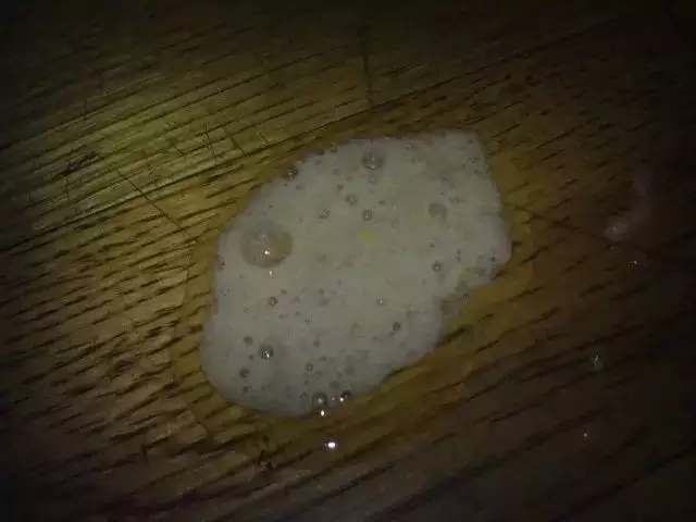 2、貓突然吐了一大堆未消化貓糧:貓吐完沒消化的貓糧之後一直在打噴嚏