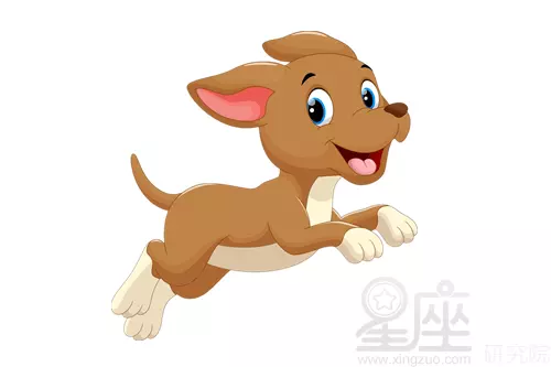 年屬相狗的幸運数字：82年的狗終身的幸運色和数字