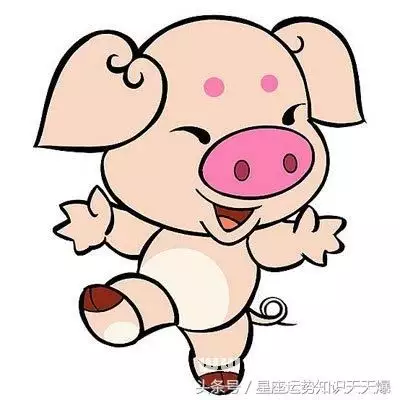 豬男和什麼屬相的女人：屬豬的男生與哪個生肖女生最配