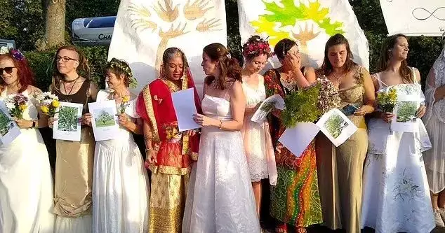 5、新浪婚姻樹免費測試:新浪 婚姻樹 准 得嗎 我這個算好嗎