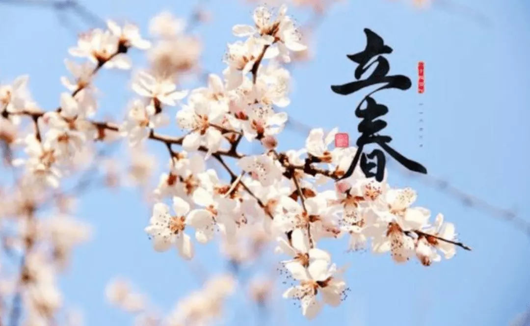 屬相是按立春前照樣春后：屬相是按春節算照樣立春算