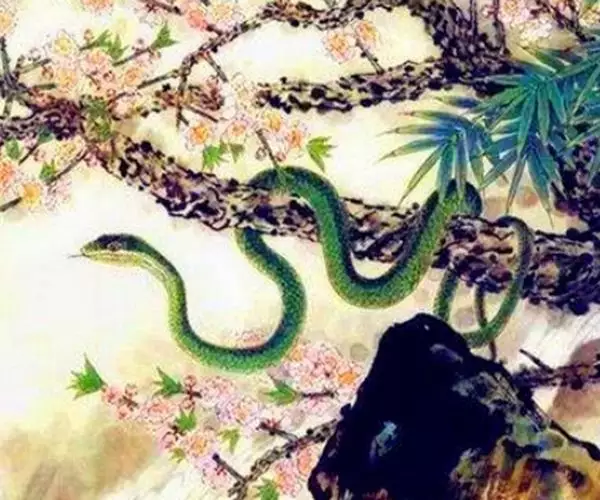 3、屬蛇做啥賺大錢:我是屬蛇的77年出生，能做什麼生意好呢？
