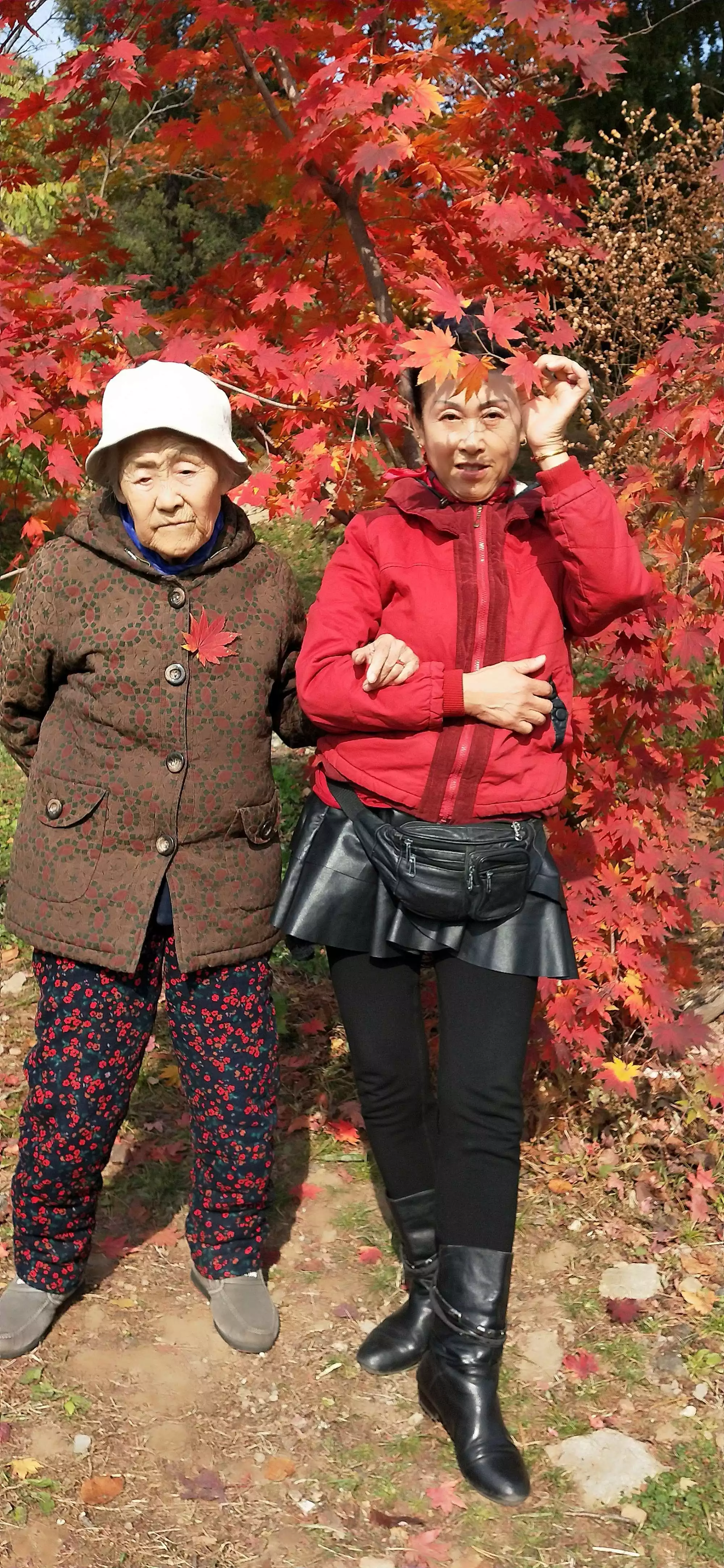 年屬相是哪個：年性別女屬龍最配是哪個屬相