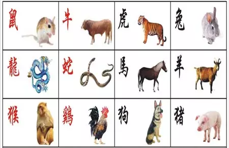 屬相馬2002年沖太歲是幾月：2021年屬馬沖太歲化解方式