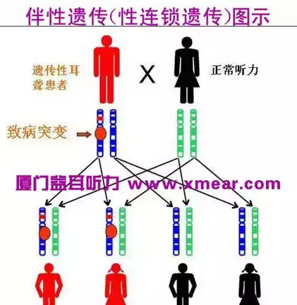 3、近親婚配子女發病風險盤算:第4代娶親算近親娶親嗎？會有什麼後過嗎？