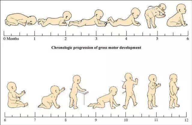 算算自己有幾個孩子免費：幫我算算我有幾個孩子