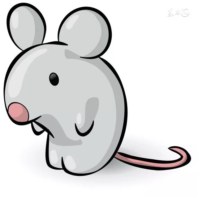 屬鼠今年多少歲：屬鼠今年多少歲？