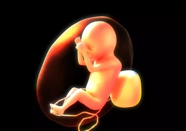 懷孕50天了胃口一點都不好，請問這是懷女孩的癥狀嗎？