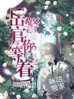 6、林辛景灝章節目錄:求 林辛景灝正版 ，謝謝