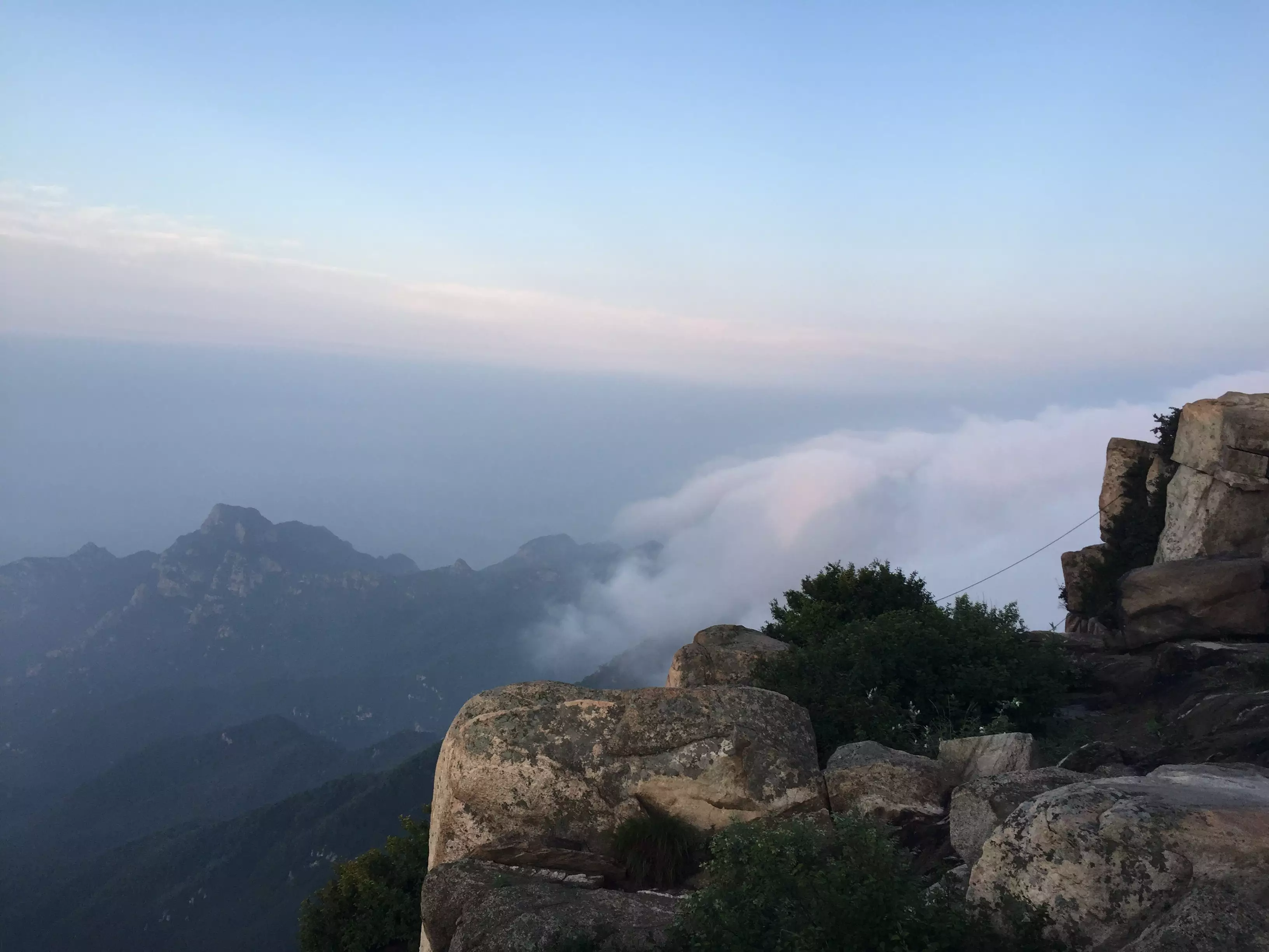 2、發財樹盆景多少錢一盆:怎樣養好發財樹小盆景